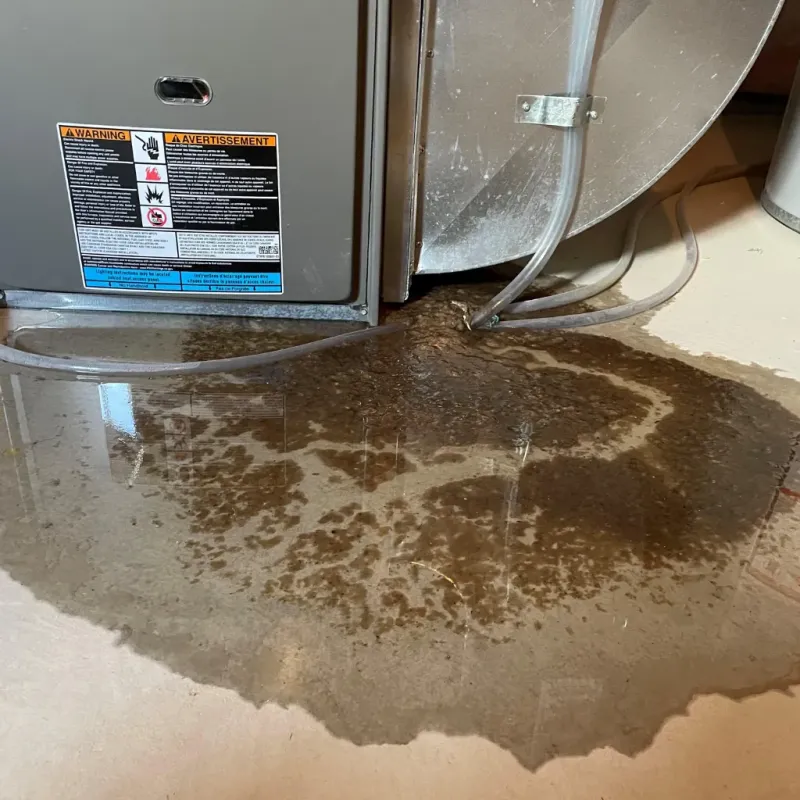 Appliance Leak Cleanup in Culver, OR